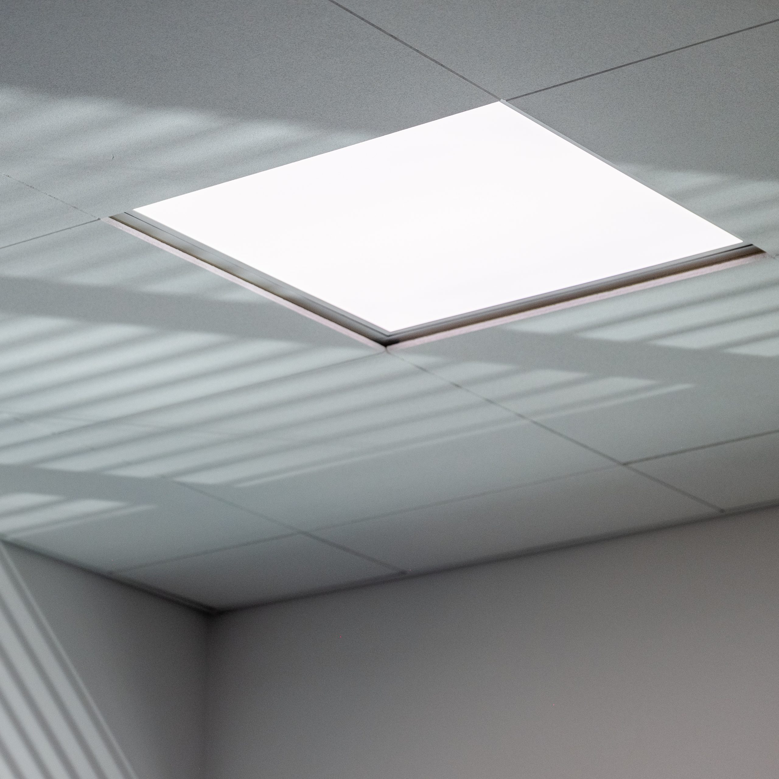 BrainLit ceiling panel