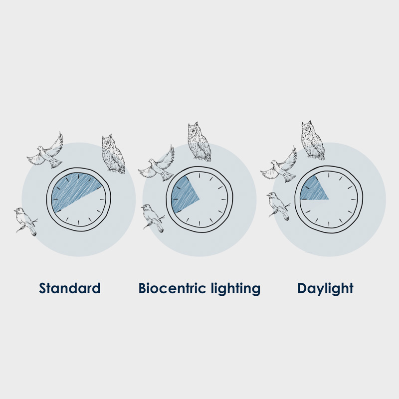 Circadian rhythms